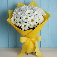 Букет цветов из:  Хризантемы #REPLACE_PRED# Далматово