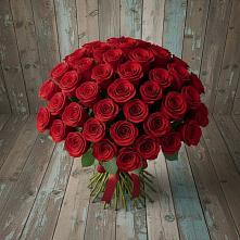 Букет 55 Красных роз Фридом #REPLACE_PRED# Далматово