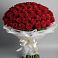 Букет 101 Красная роза Блэк Мэджик в Далматово