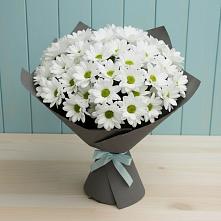 Букет цветов из:  Хризантемы #REPLACE_PRED# Далматово