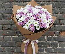 Букет цветов из:  Хризантемы #REPLACE_PRED# Далматово