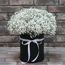 Цветочная композиция из Гипсофила в шляпной коробке в Далматово