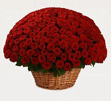 Премиум букет из: Розы #REPLACE_PRED# Далматово