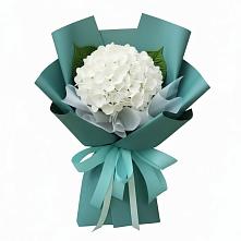 Букет цветов из:  Гортензия в Далматово